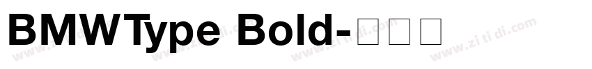 BMW Type Bold字体转换